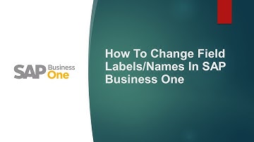 How to rename/change filed labels in SAP B1