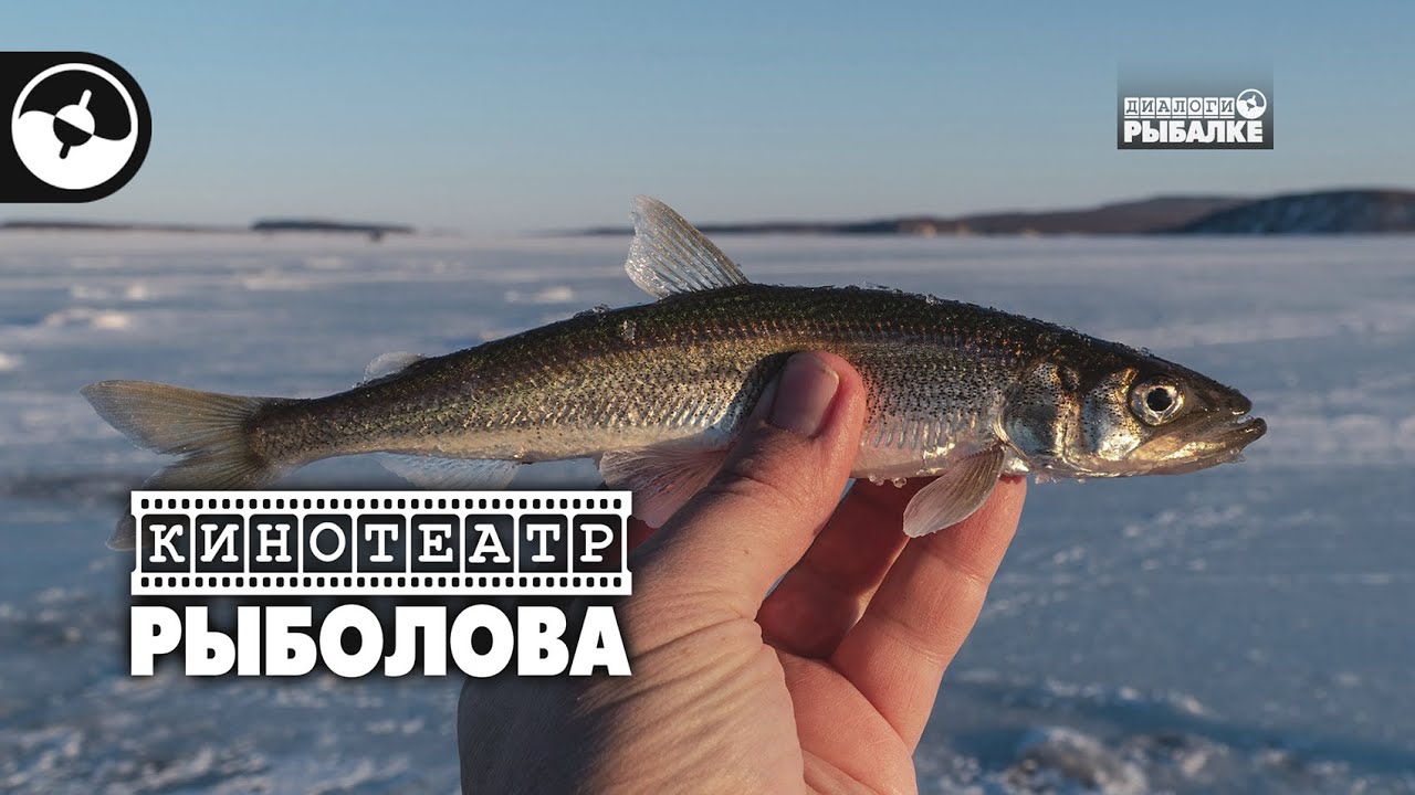 зимняя рыбалка на корюшку в приморье видео