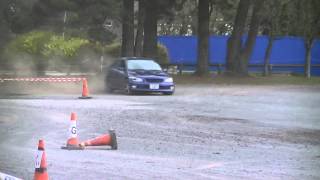 Sideways Steve