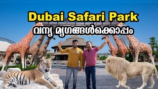 വന്യമൃഗങ്ങൾ പുറത്ത്ഇതാണ് മക്കളെ പാർക്ക് | Dubai Safari Park #dubai #malayalam #safaripark #animals