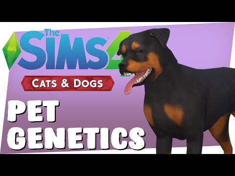SIMS 4 CATS & DOGS - PET GENETICS!!