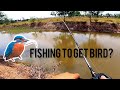 ស្ទូចត្រីតាមផ្លូវបានសត្វស្លាប? | Fishing snakehead along the street and get bird?