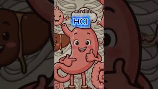 🔥 Science made fun and easy!Watch this amazing educational animation and learn concepts in a fun way