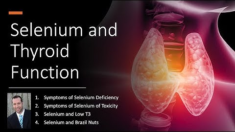 Selenium and The Thyroid- How Selenium Helps Patients with Graves, Hashimotos