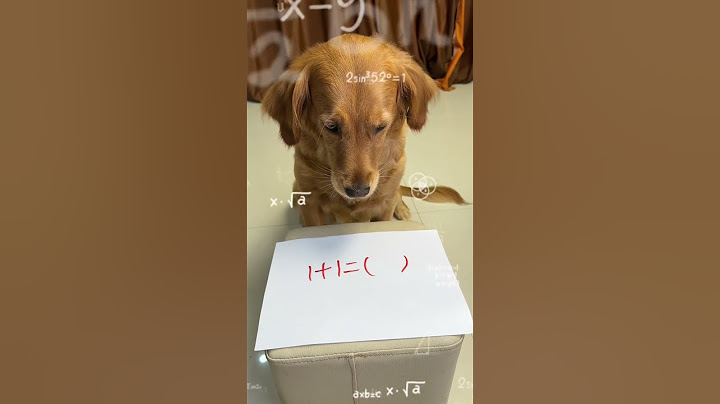 Dog: I believe you again I am a dog!# shorts# adorable pet# golden retriever# cute# dog# animal gui