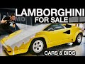 Lamborghini Countach Detail and Sell First Wash in Years!