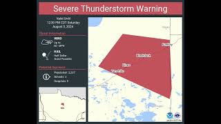 [EAS] Severe Thunderstorm Warning for Blackduck MN (August 3, 2024)