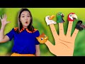 Birds finger family &amp; Dino Finger family + MORE | Kids Funny Songs