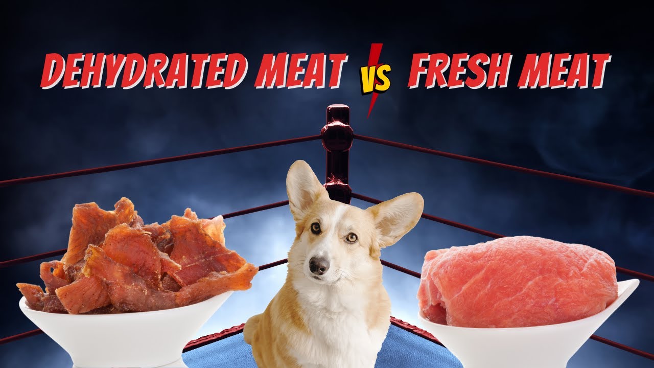 Is Dehydrated Raw Meat Good for Dogs - YouTube