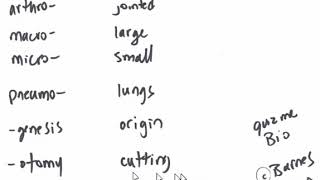 Low-tech Gen Biology 1 | prefixes and suffixes