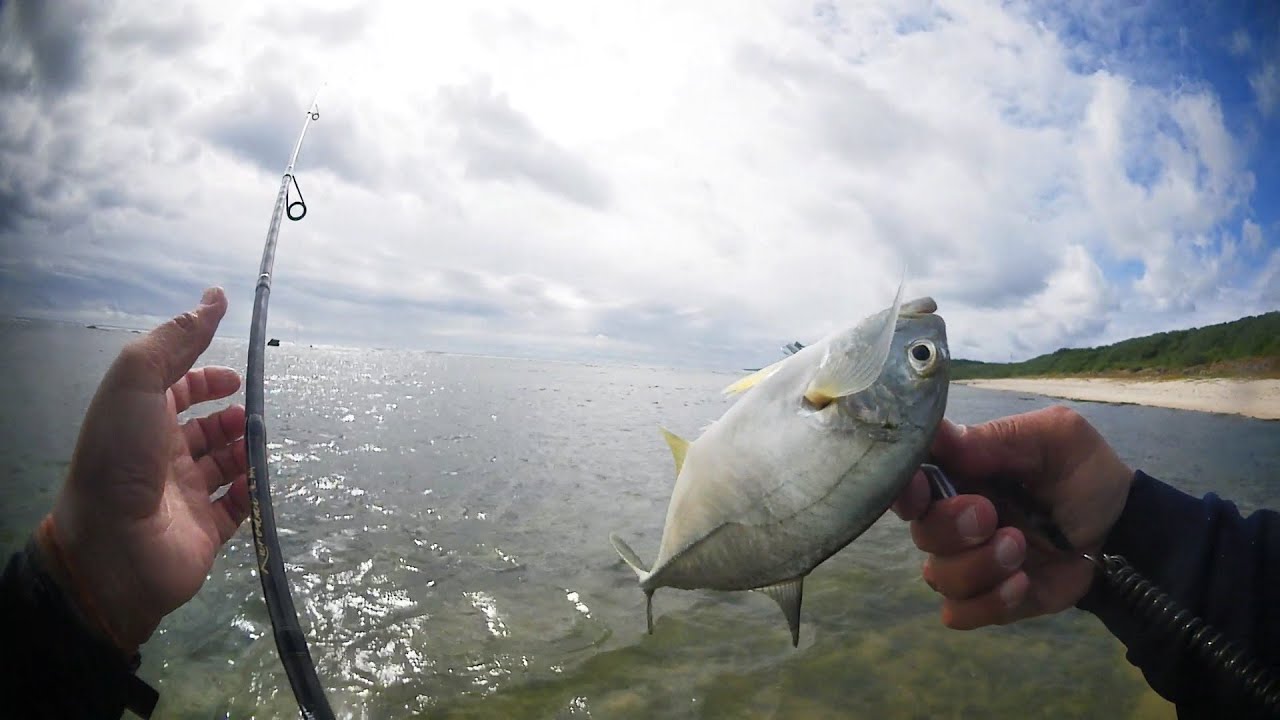 明けましておめでとうございます。寒さにめげず、沖縄南部リーフに行ってきました。