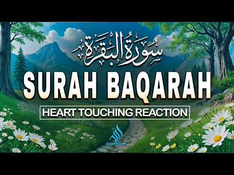 Surah Al-Baqarah (سورة البقرة) Full Quran Recitation for Healing, Ruqyah, Peace & Divine Protection