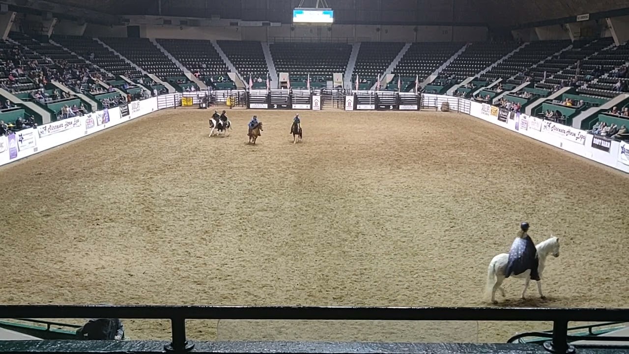 MAPFHA Breed Demo MN Horse Expo 2022 YouTube