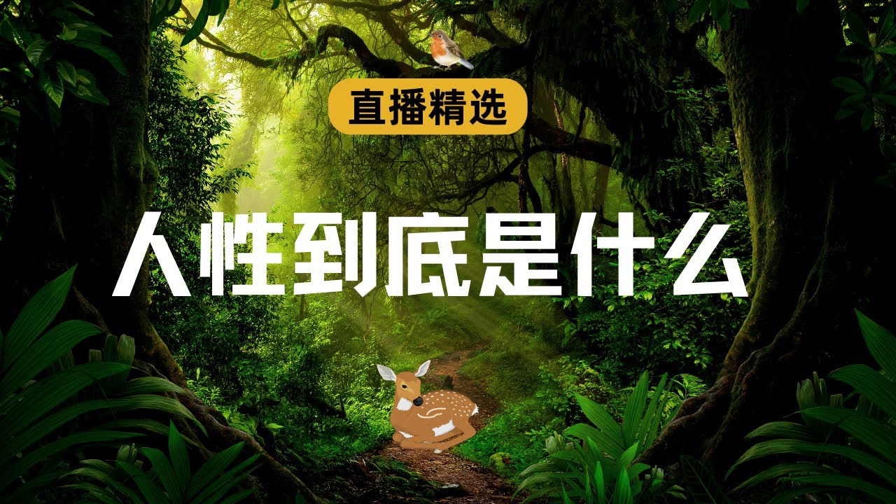 人性到底是什么？【直播精选】第433期