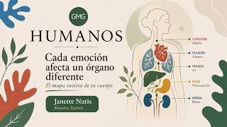 Conoce como cada emoción afecta un órgano diferente. El mapa Taoista con la maestra Janette Nutis