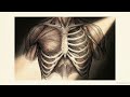 THE PATHWAYS OF INVASION | COMMUNICABLE DISEASES | CONCEPT OVERVIEW | SHORT EXPLAINER