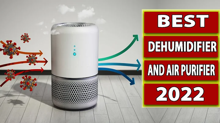 5 Best Dehumidifier And Air Purifier Combo Reviews in 2024
