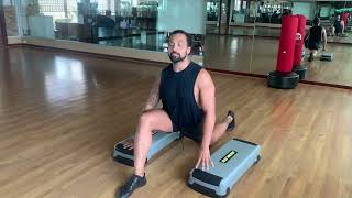 Long Lunge Pulse