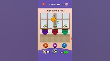 Braindom 3 level 152