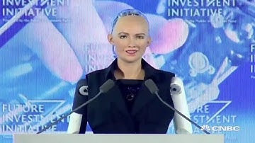 Presentation The Lifelike Hot Sophia Robot