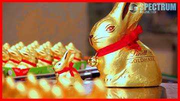 Modern Food Processing Technology with Cool Automatic Machines That Are At Another Level