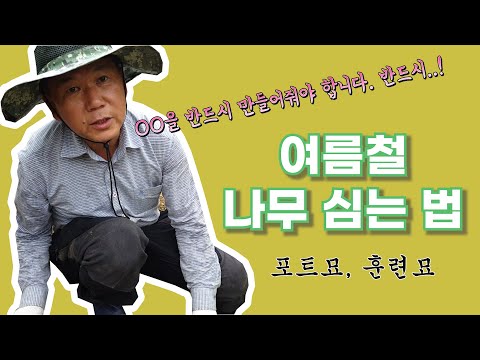 여름철 나무 심기 이것 을 반드시 만들어야 합니다 