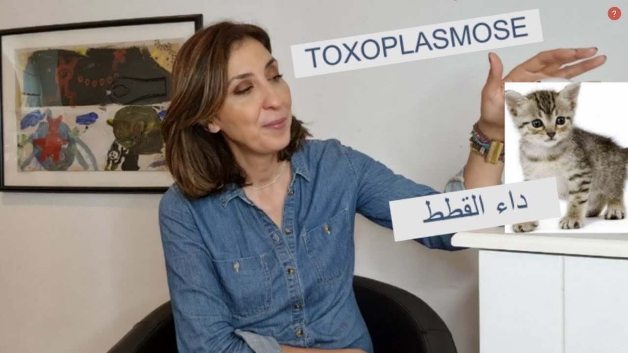 ما يجب أن تعرفوه TOXOPLASMOSE