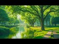 Calming music for nerves 🌿healing music for the heart and blood vessels,relaxation,music for soul #5