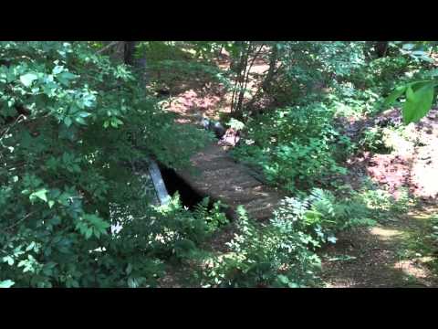 28 Barkland Drive, Derry, NH home video tour