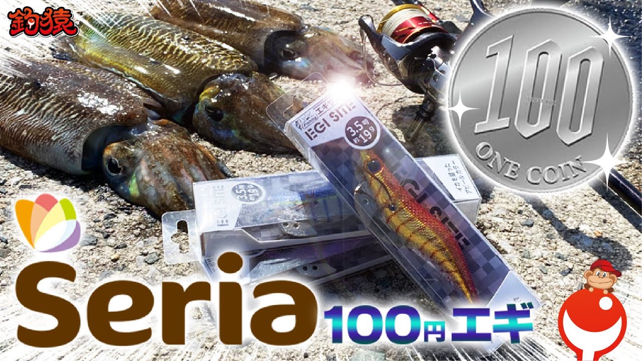 エギング！Seria100均エギでコウイカ釣り！視聴者さんのカスタム爆釣エギも大公開！