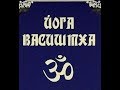 Исследование природы собственной сущности. Важность размышления. Вичара