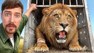 🐯🐍🦖🦁🦕No One Thought We’d Find THIS in the Jungle!”#shorts #youtubeshorts #sehar #hungergamestiktok 