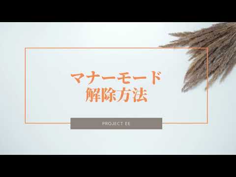 PROJECT-EE スマートウォッチ マナーモード 解除方法 ※サイレントモード
