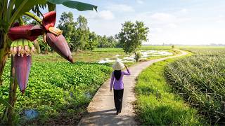 Peaceful Life in Rural Vietnam — A Hidden Green World Beyond the Little Bridge screenshot 4