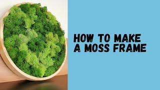 How to Make a Moss Frame / Green Wall Art / Preserved Moss
