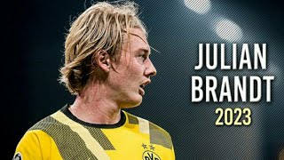 Julian Brandt 2023 - Best Skills, Goals & Assists - HD