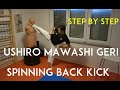 USHIRO MAWASHI GERI - spinning back kick - TEAM KI