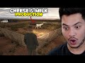 New Cow Farm (CHEESE &amp; MILK PRODUCTION)😍 - Ranch Simulator - PART 8