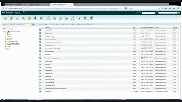 How to Fix Word Press Plug-in Errors with your C panel...