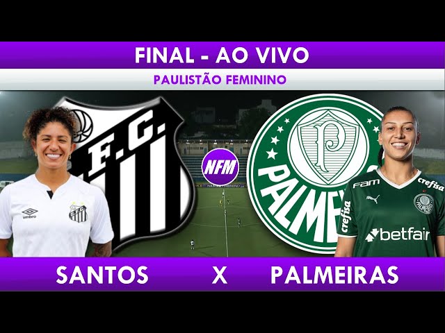 Palmeiras sai na frente do Santos na decisão do Paulista Feminino - Portal  O Piauí