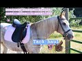 Dressage Tack Haul