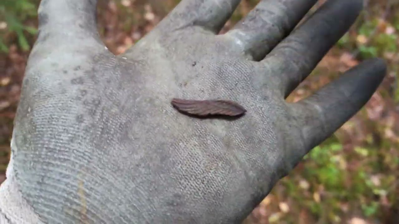 Procházka s detektorem 404.díl