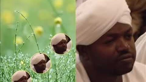 سورة يس القارئ نورين صديق رواية الدوري عن ابي عمرو