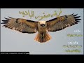 دحيه 2014 فرقه صقور الباديه 3 