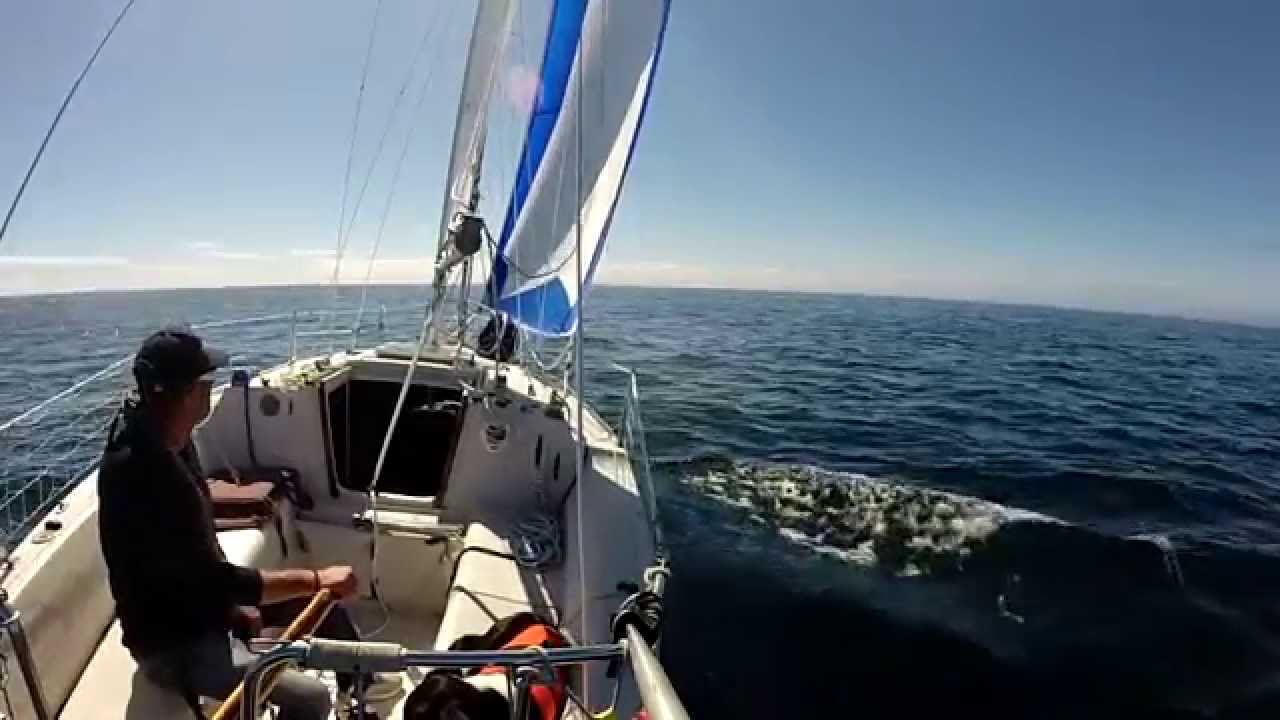 voilier jeanneau brio finistère