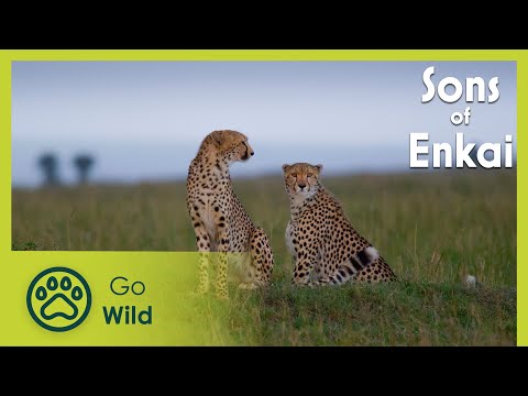 Man and Nature | Sons of Enkai | Go Wild