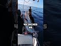 Six California Halibut over 40 inches in 4 months!