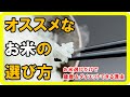 お米のオススメな選び方！健康＆ダイエットできる理由【健康生活】