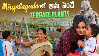 Miryalaguda lo Amma పెంచే Terrace Plants || Amrutha pranay