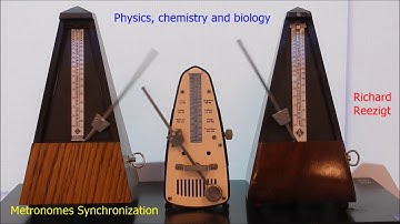 Metronomes Synchronization